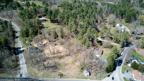 a view of a yard with plants and large trees