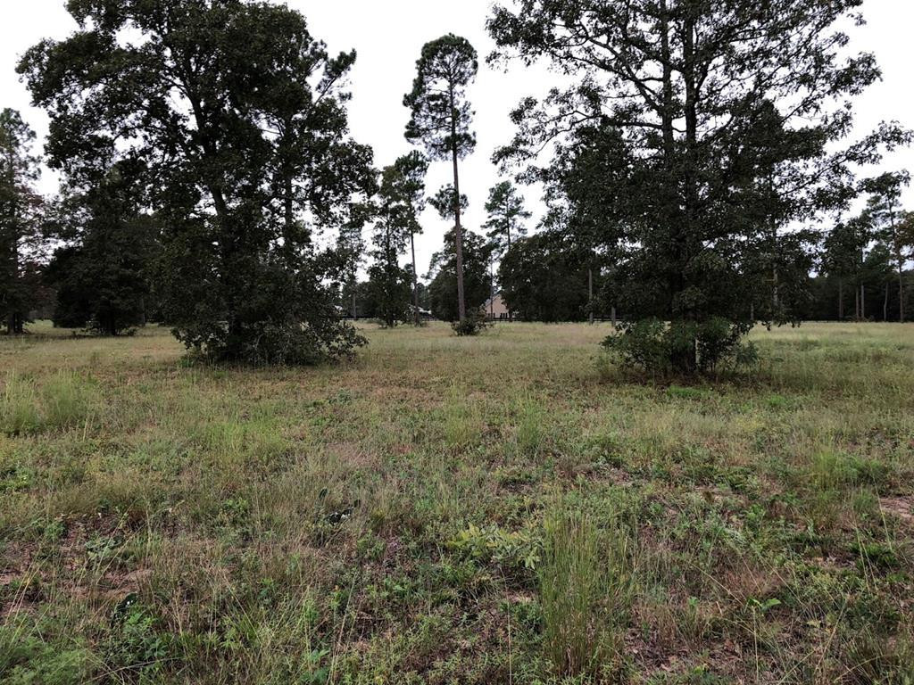 Lot 3 Hiwassee Run Aiken, SC 29803 - Photo 2 of 2