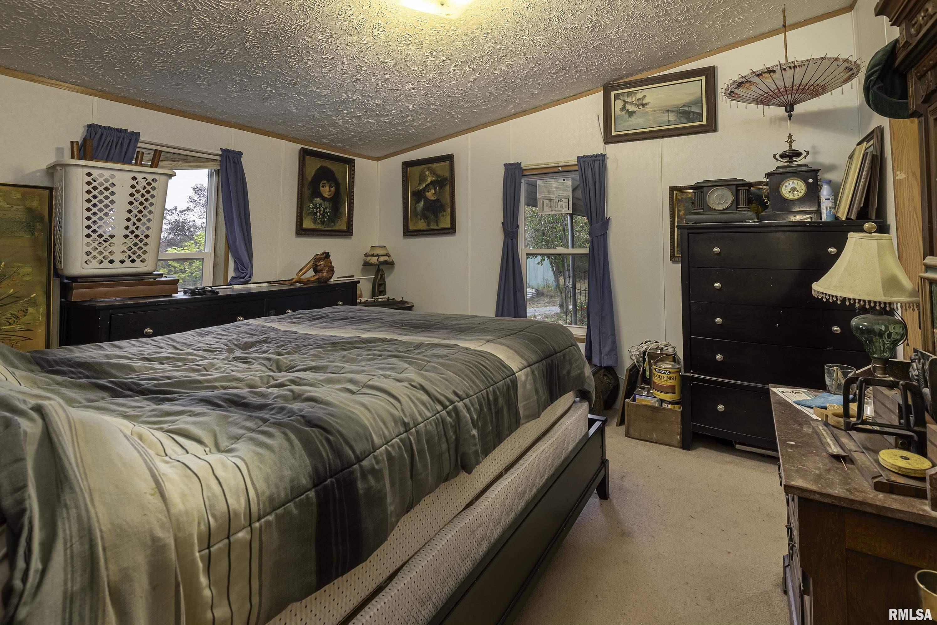 2095 Eagle Point Bay Road Goreville, IL 62939 - Photo 11 of 26