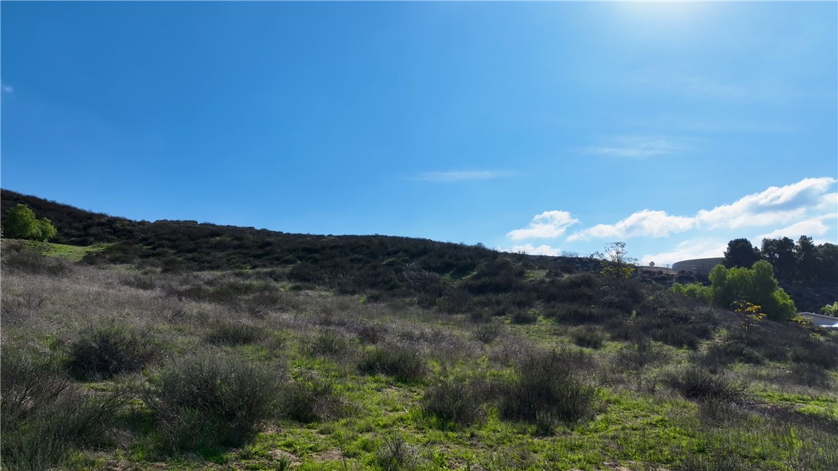 42160 Anza Road Temecula, CA 92592 - Photo 11 of 13 a view of a mountain in the distance in a field