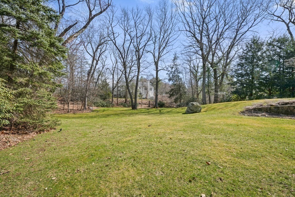 77 Woodcliff Road Wellesley, MA 02481 - Photo 41 of 42 a view of yard with trees