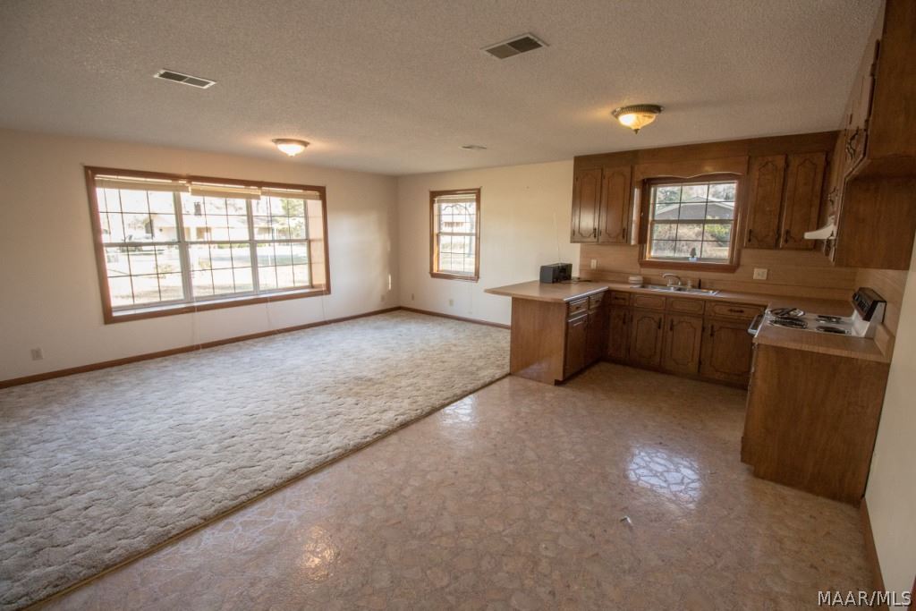 330 Lamar Street Samson, AL 36477 - Photo 19 of 31 Gallery Image 19