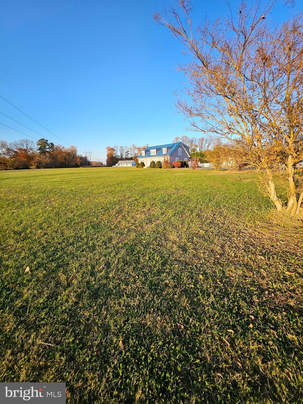 25938 Beauchamp Branch Road Denton, MD 21629 - Photo 10 of 38 So much space away from the road