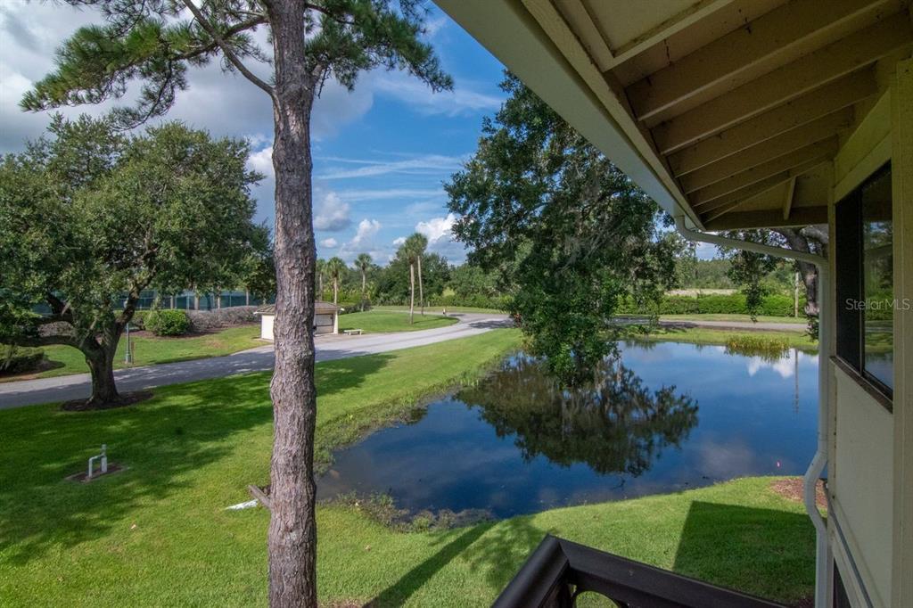 4947 Mill Pond Road, Unit 3104/3106 Wesley Chapel, FL 33543 - Photo 17 of 31