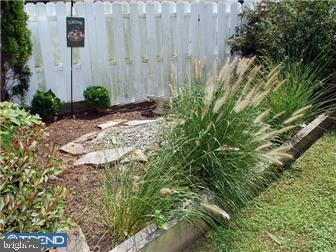 864 Cricket Road Secane, PA 19018 - Photo 11 of 12 Exterior Back