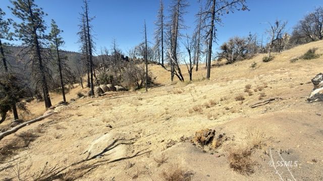 4351 Saddle Springs Road Caliente, CA 93518 - Photo 6 of 15 Gallery Image 6