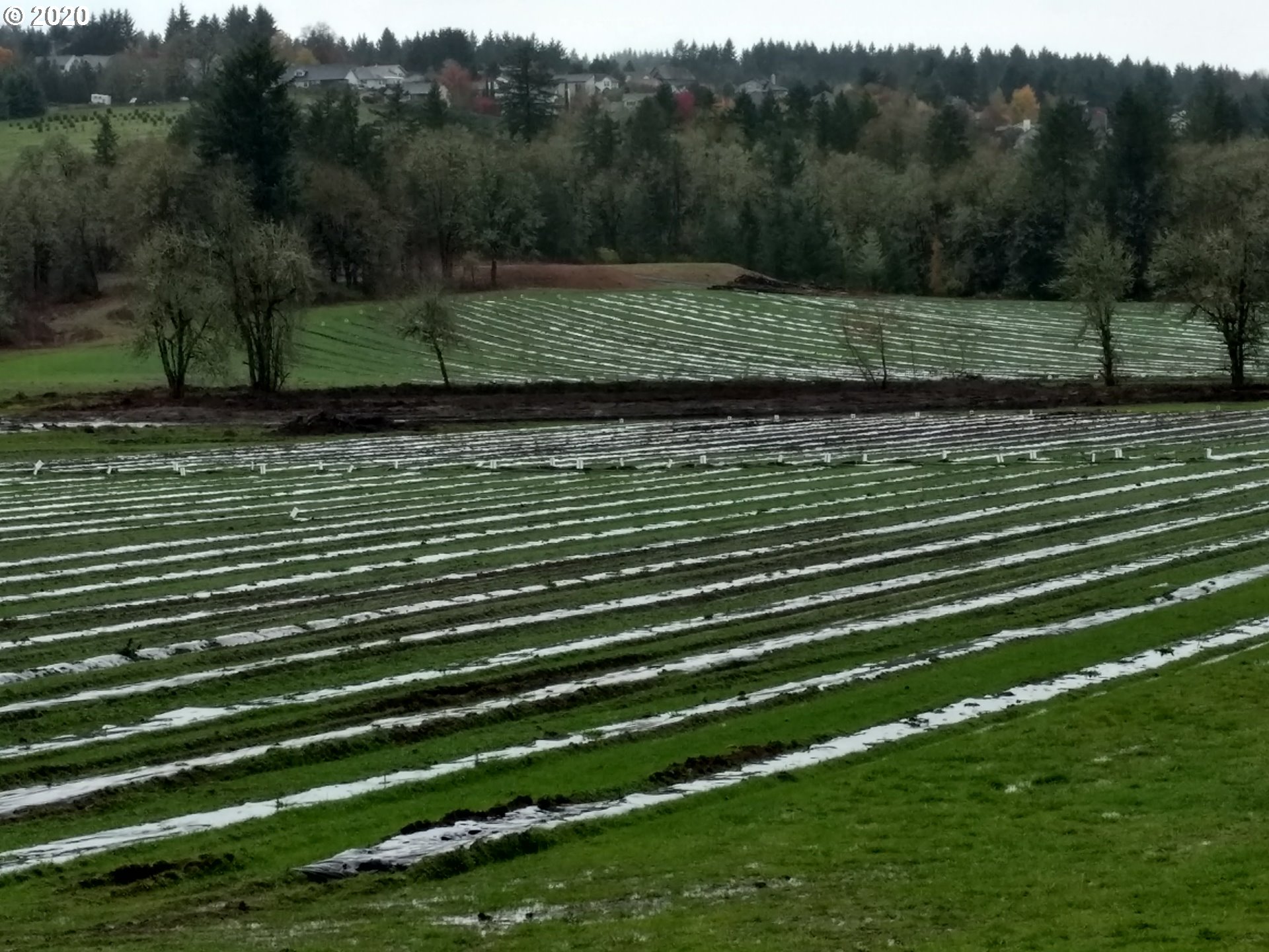 2509 Liberty Road Dallas, OR 97338 - Photo 3 of 9 a view of a green field