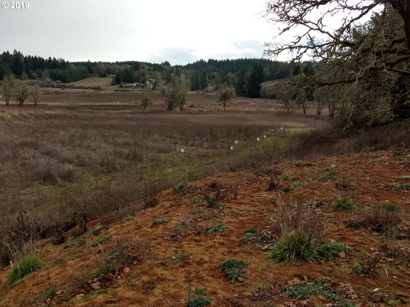 2509 Liberty Road Dallas, OR 97338 - Photo 4 of 9 a view of dirt field and trees