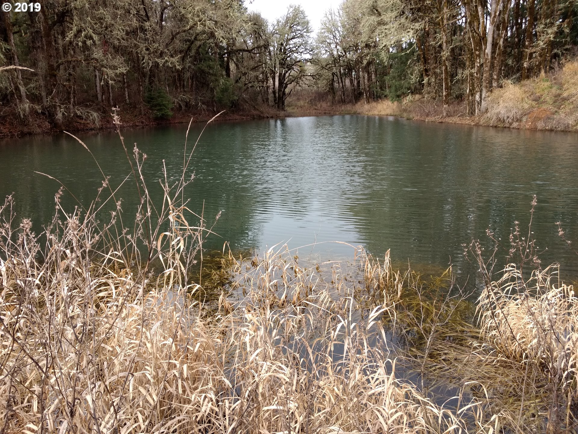 2509 Liberty Road Dallas, OR 97338 - Photo 6 of 9 a view of lake