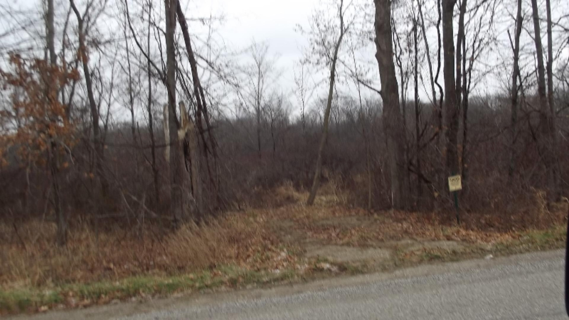 Quimby Road Coldwater, MI 49036 - Photo 2 of 4 DSCF8732