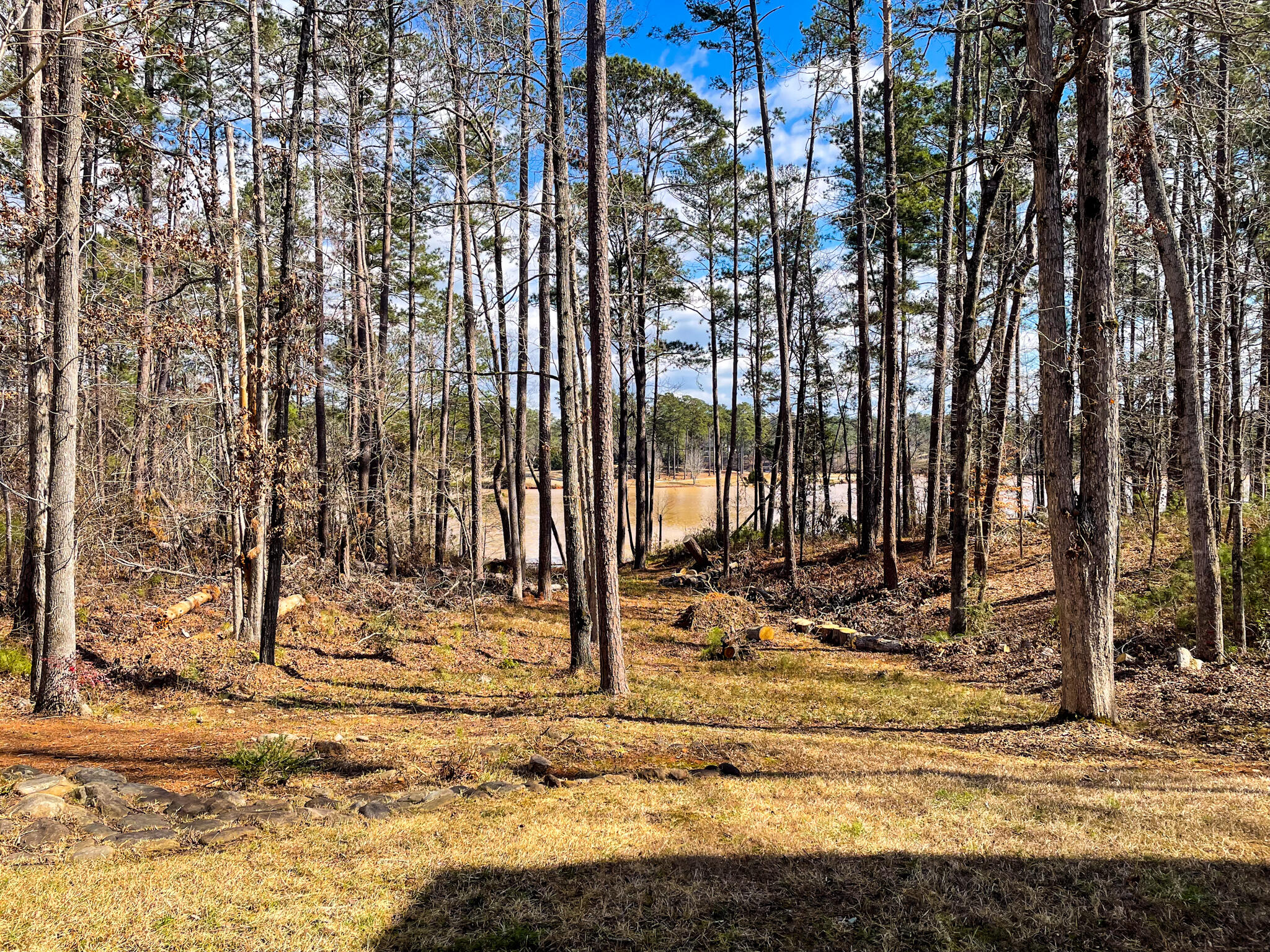 154 Bereau Drive McCormick, SC 29835 - Photo 54 of 56 Back Yard