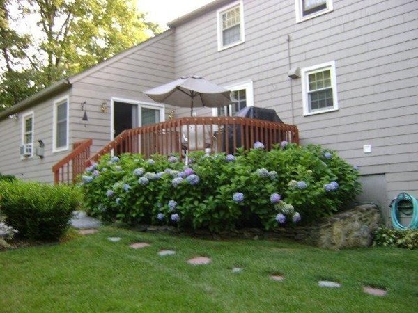 25 Amble Road Chelmsford, MA 01824 - Photo 16 of 20