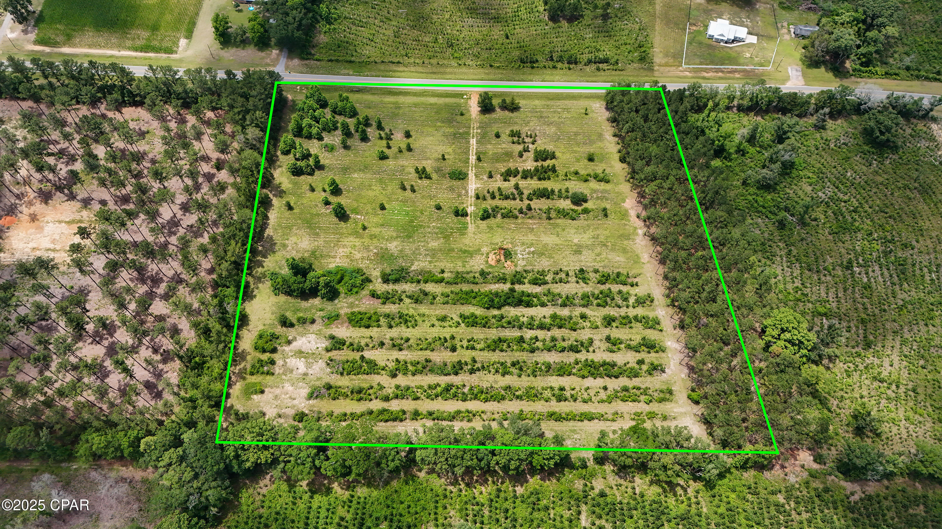 0 Wilderness Road Caryville, FL 32427 - Photo 8 of 16