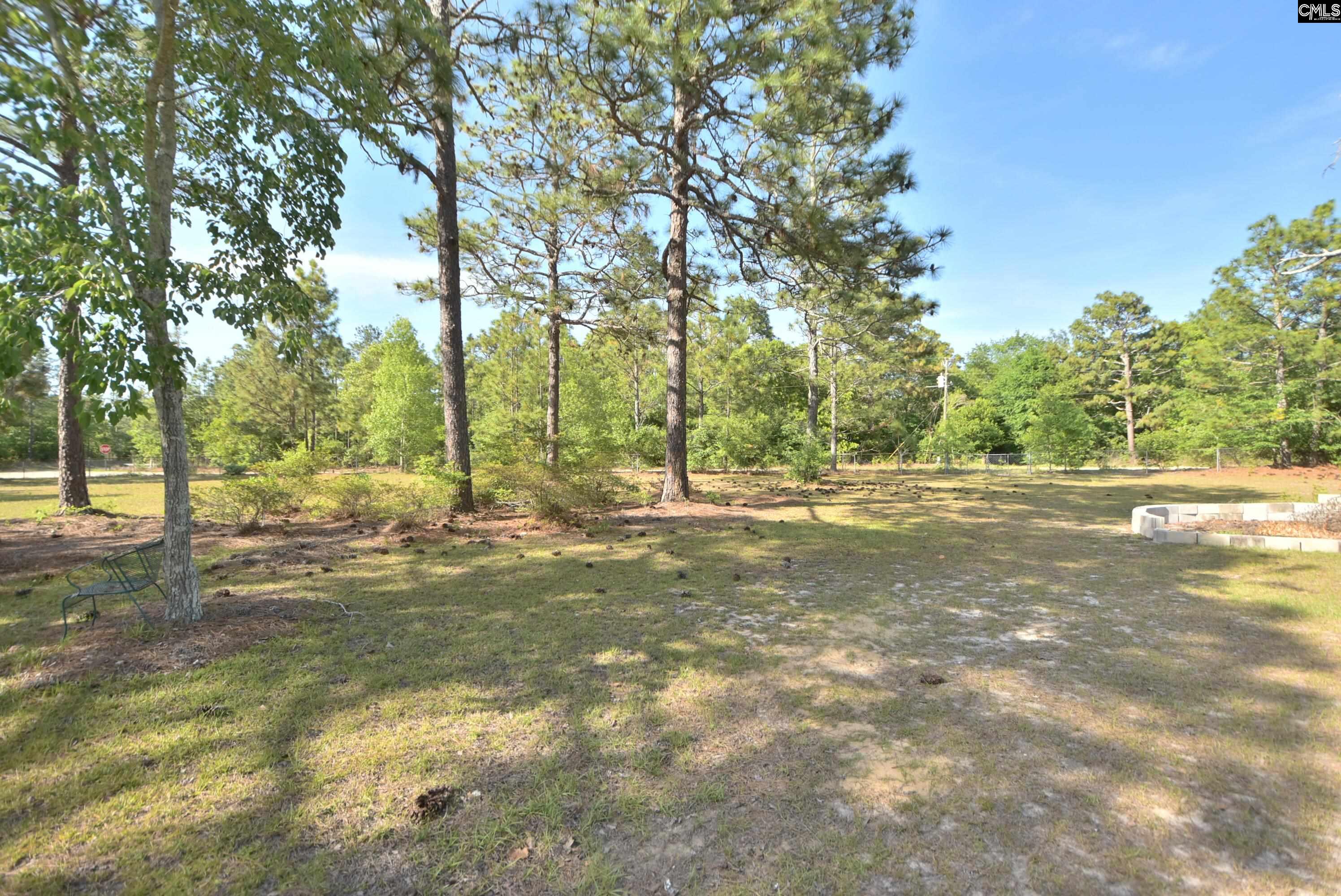 518 Pat Road Lexington, SC 29073 - Photo 8 of 25