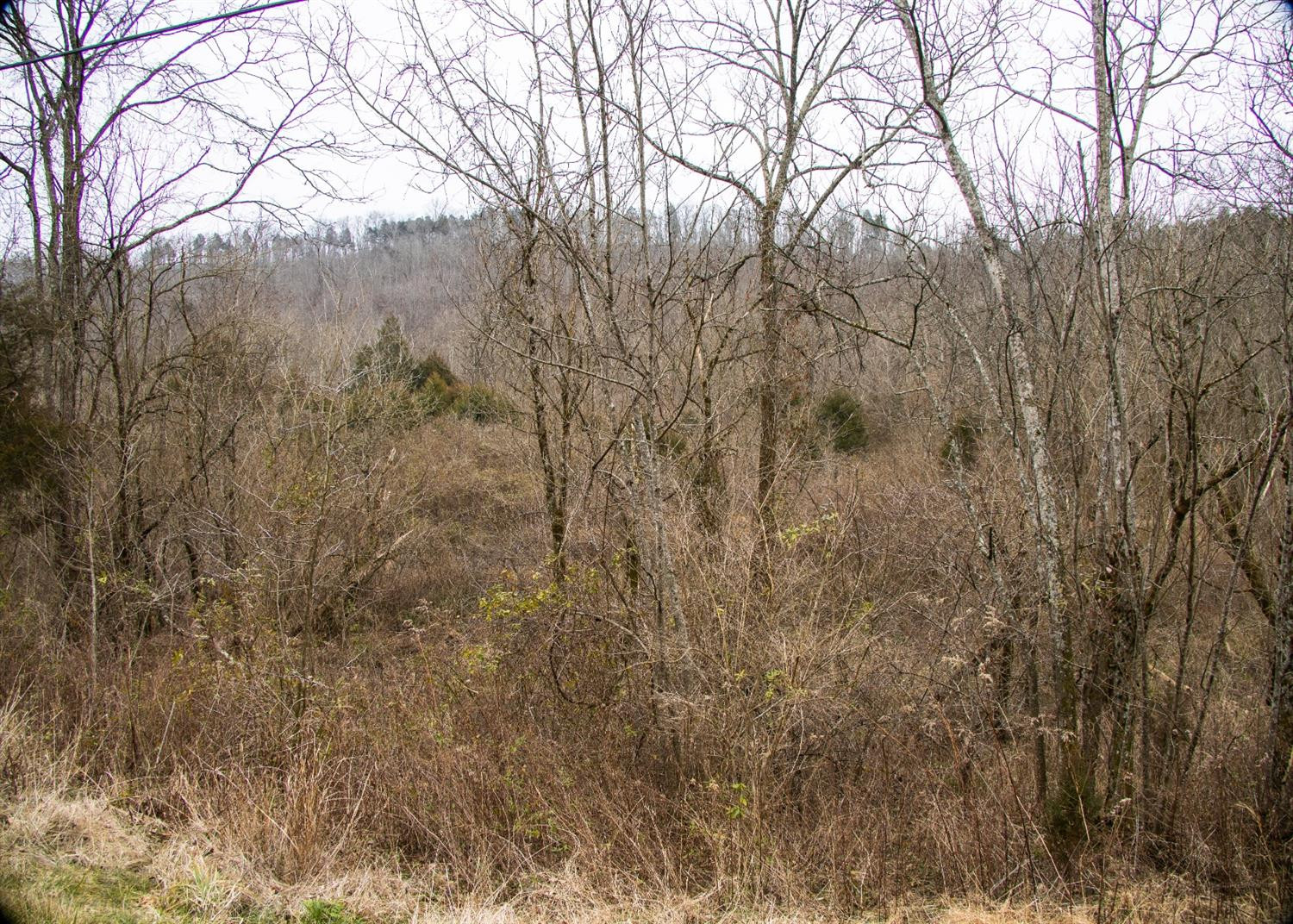 1298 River Road Nicholasville, KY 40356 - Photo 7 of 7 Photo 7