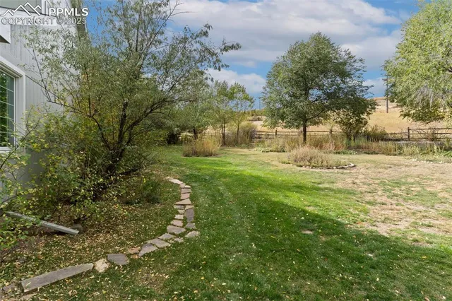 a view of yard with green space