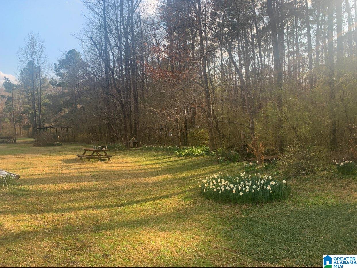 777 Tawbush Road Locust Fork, AL 35097 - Photo 7 of 33