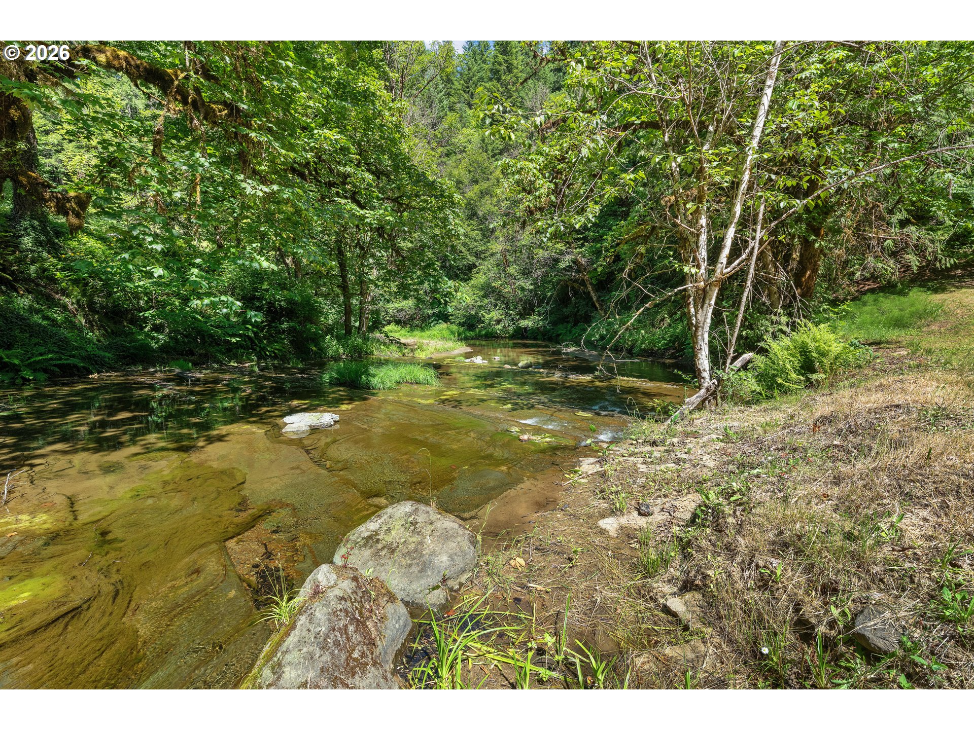 10024 Hubbard Creek Road Umpqua, OR 97486 - Photo 41 of 48