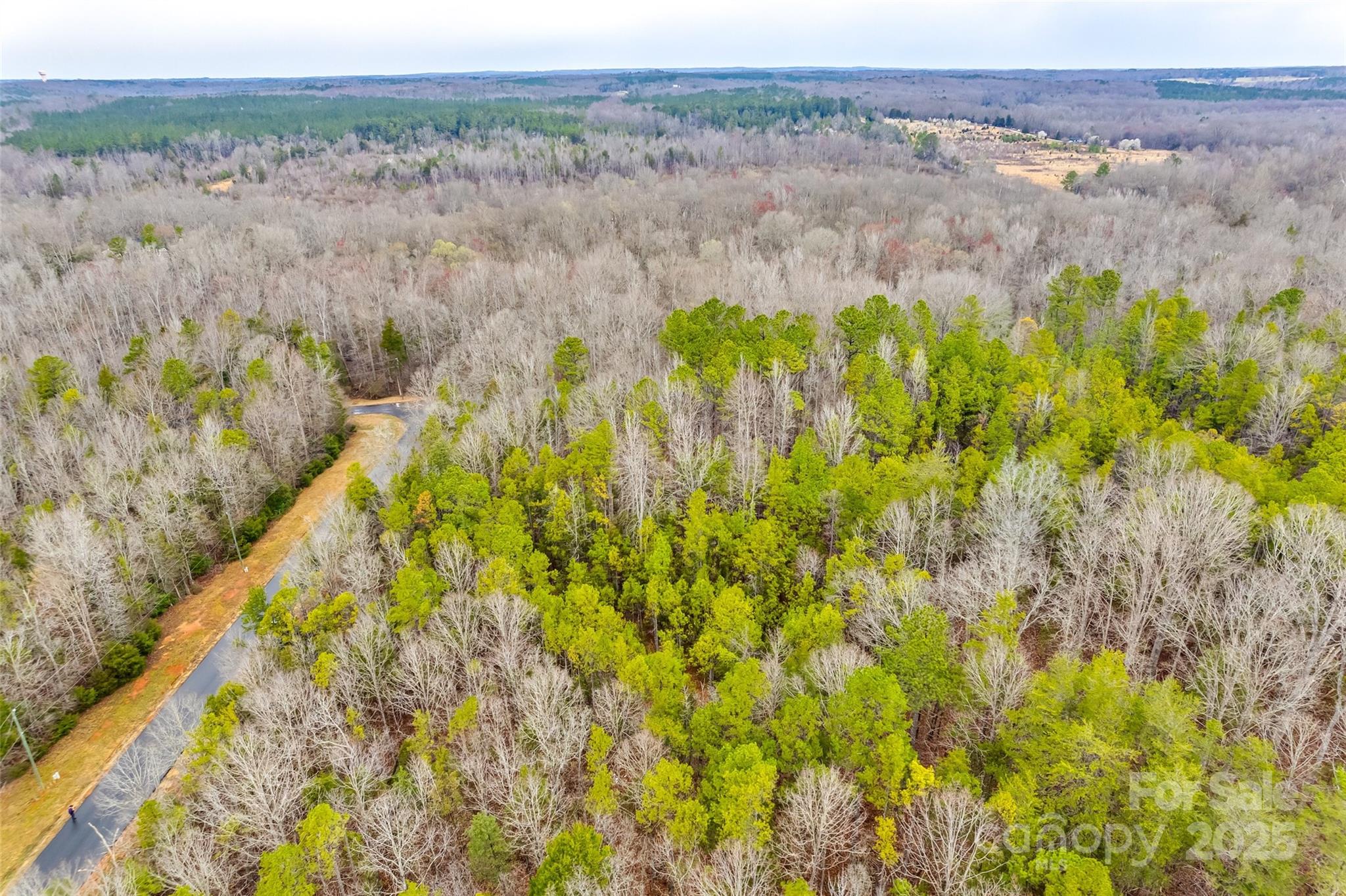 0 Greyfox Estates Road Lancaster, SC 29720 - Photo 2 of 8