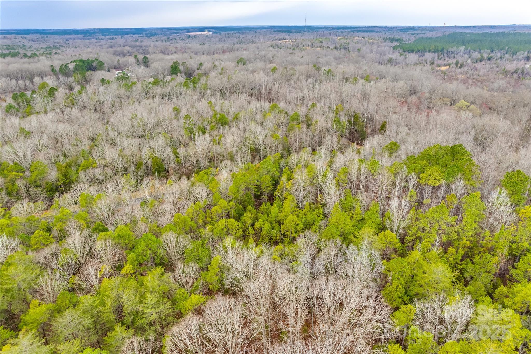 0 Greyfox Estates Road Lancaster, SC 29720 - Photo 3 of 8