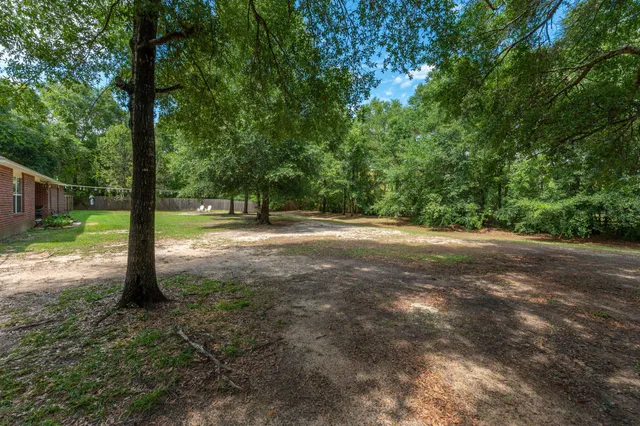 a view of a tree in a yard