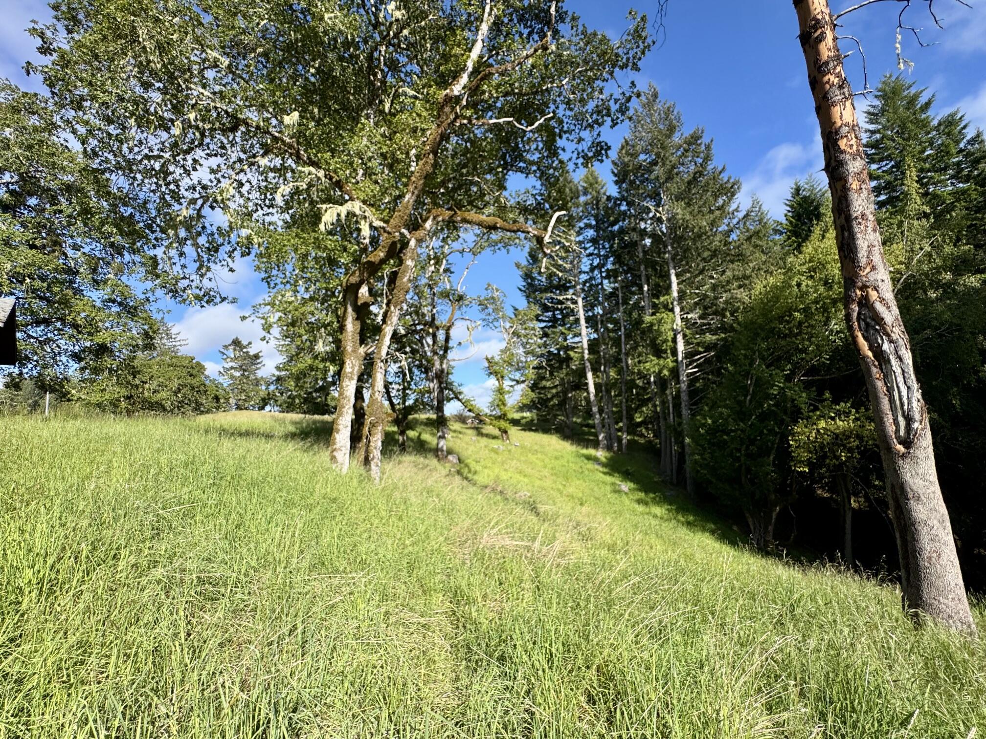 1460 Tim Mullen Road Kneeland, CA 95549 - Photo 51 of 93