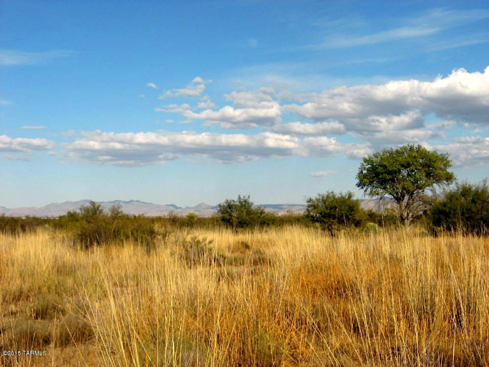 40 Ac On Grimmett Road, Unit 68 Pearce, AZ 85625 - Photo 5 of 9