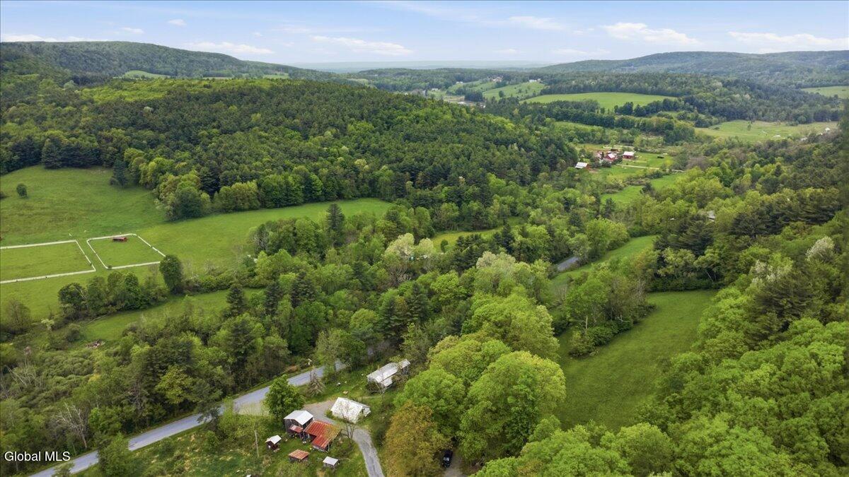 268 Fox Hollow Road Petersburgh, NY 12138 - Photo 45 of 51 46-07-007_DJI_0549