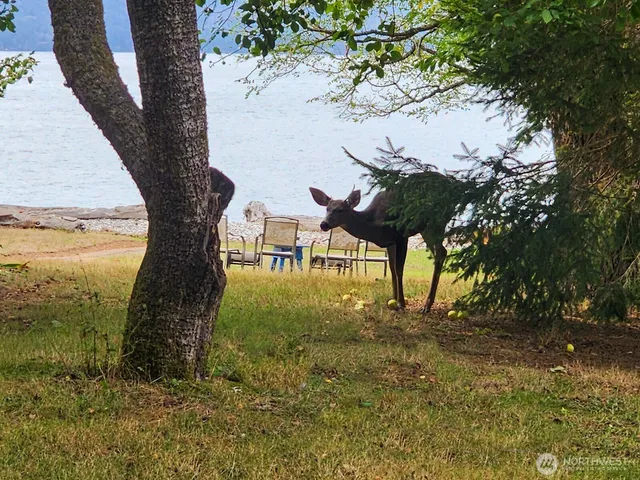 $4,600 | 9051 Sunset Lane Northwest, Seabeck, WA 98380