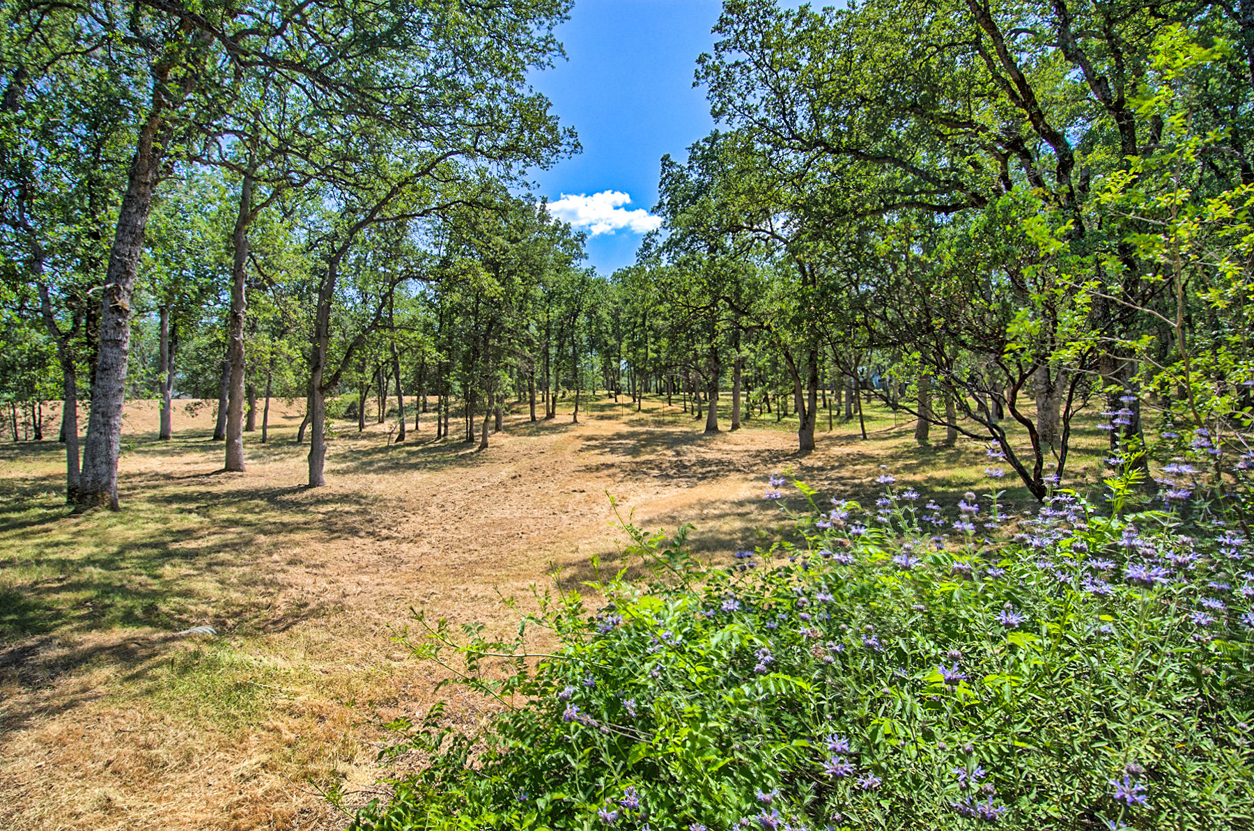 15838 Montgomery Ranch Road Redding, CA 96001 - Photo 63 of 69 mont ranch-107