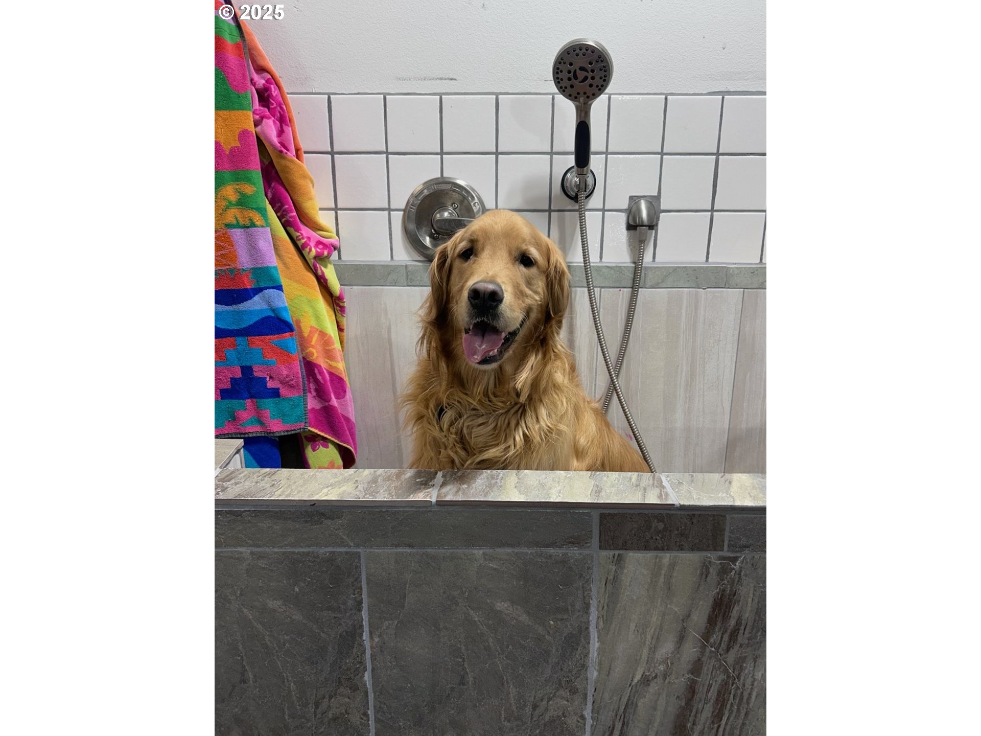 9065 8th Street Bay City, OR 97107 - Photo 45 of 48