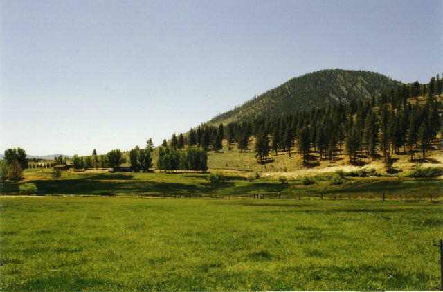 Lot 11 Jackson Ranch Road Gardnerville, NV 89460 - Photo 3 of 4 Gallery Image 3
