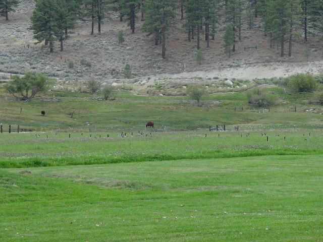 Lot 11 Jackson Ranch Road Gardnerville, NV 89460 - Photo 4 of 4 Gallery Image 4
