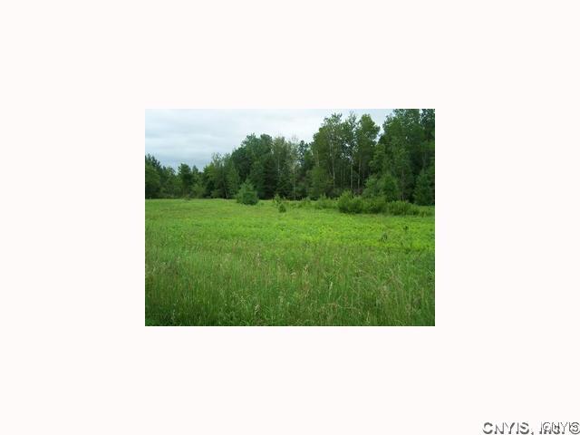 1 Baldwin Road Belleville, NY 13611 - Photo 1 of 1 Land