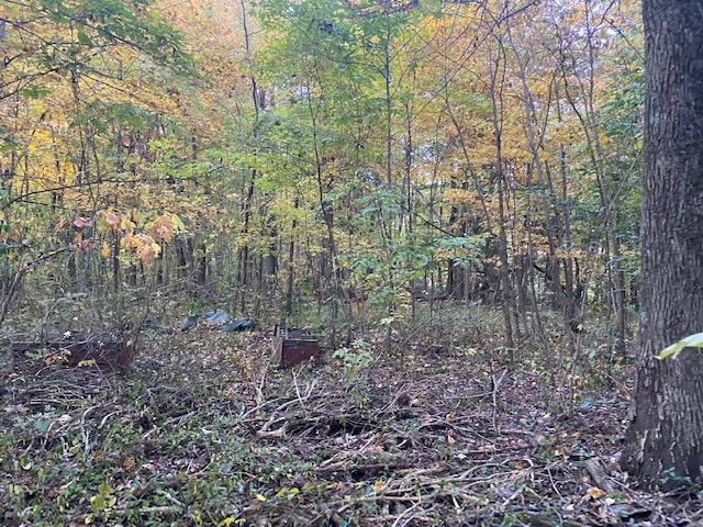 13049 West Henry Road Deputy, IN 47230 - Photo 21 of 37 Gallery Image 21