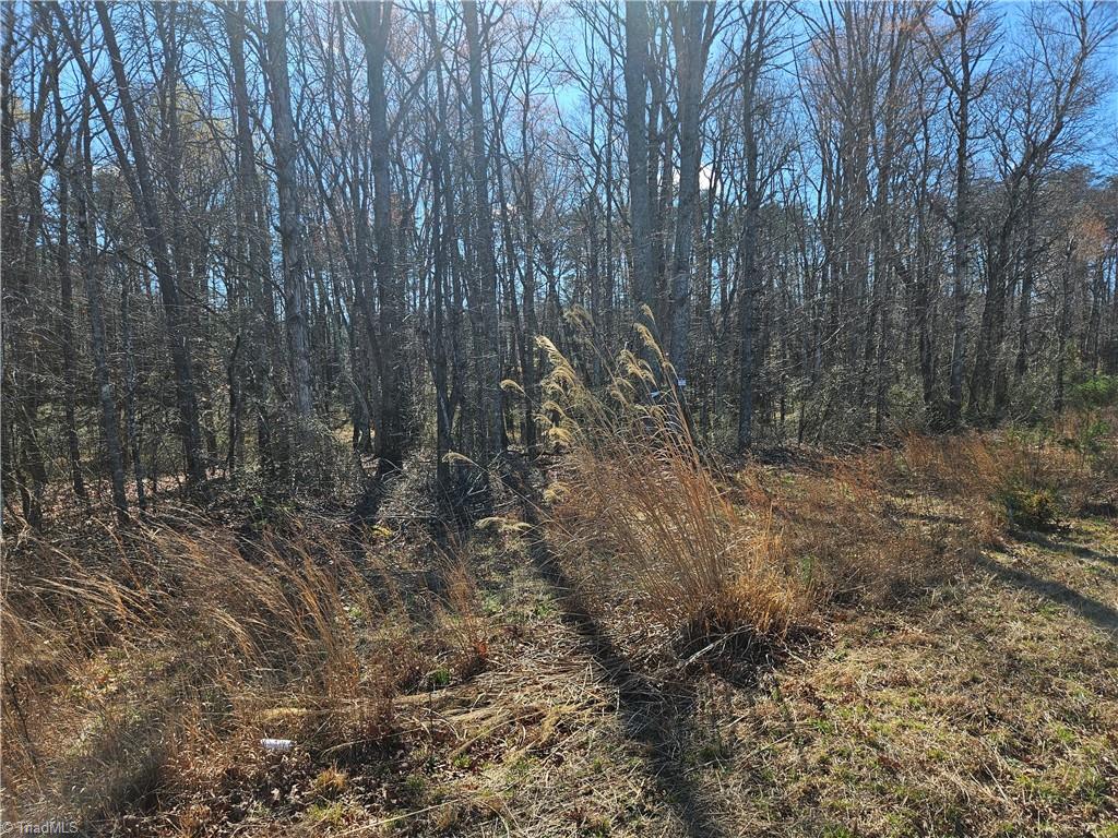 0 Locust Grove Road, Unit 3 Westfield, NC 27053 - Photo 4 of 10