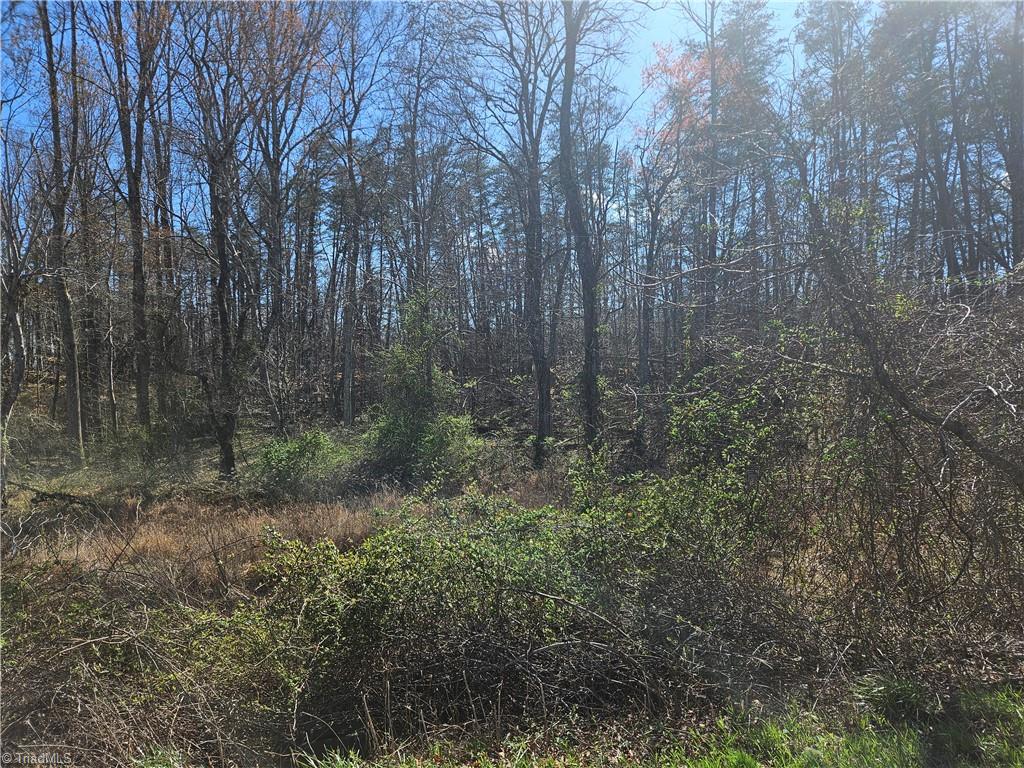 0 Locust Grove Road, Unit 3 Westfield, NC 27053 - Photo 5 of 10