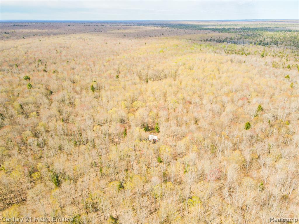 21821 Krenkel Road Newberry, MI 49868 - Photo 28 of 28