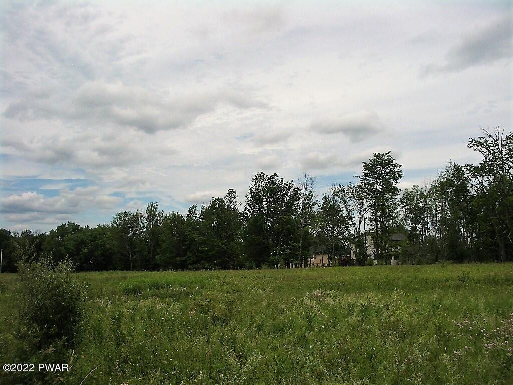 Lot 2 Avoy Heights Road Lake Ariel, PA 18436 - Photo 8 of 9