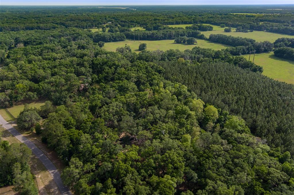 5106 Southwest 177th Street Archer, FL 32618 - Photo 42 of 50