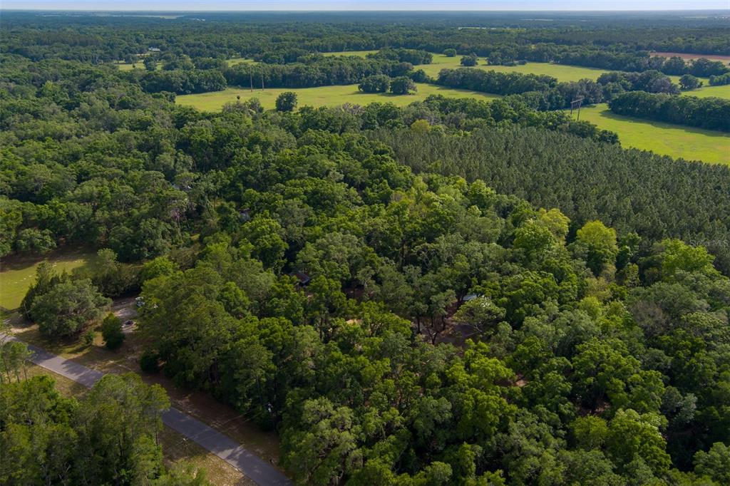 5106 Southwest 177th Street Archer, FL 32618 - Photo 45 of 50