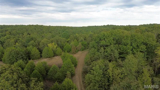 $300,000 | 4800 County Road 4210, Salem, MO 65560