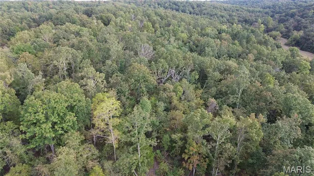 $300,000 | 4800 County Road 4210, Salem, MO 65560