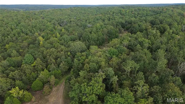 $300,000 | 4800 County Road 4210, Salem, MO 65560