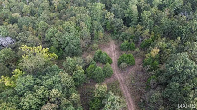 $300,000 | 4800 County Road 4210, Salem, MO 65560