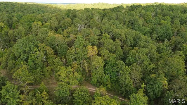 $300,000 | 4800 County Road 4210, Salem, MO 65560