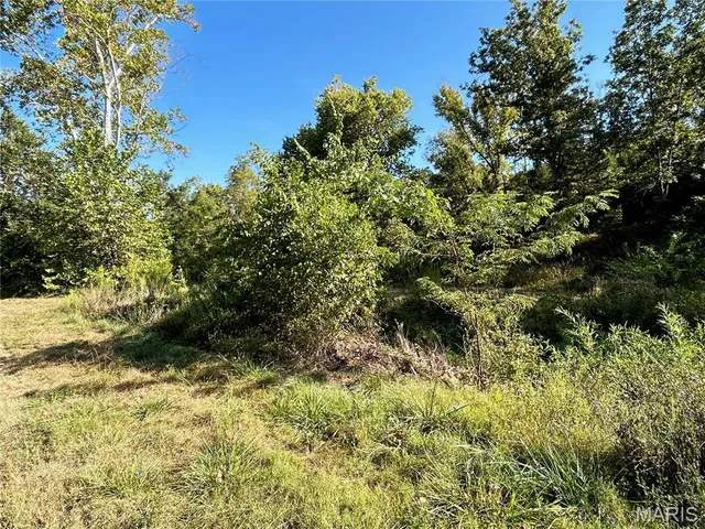 $300,000 | 4800 County Road 4210, Salem, MO 65560