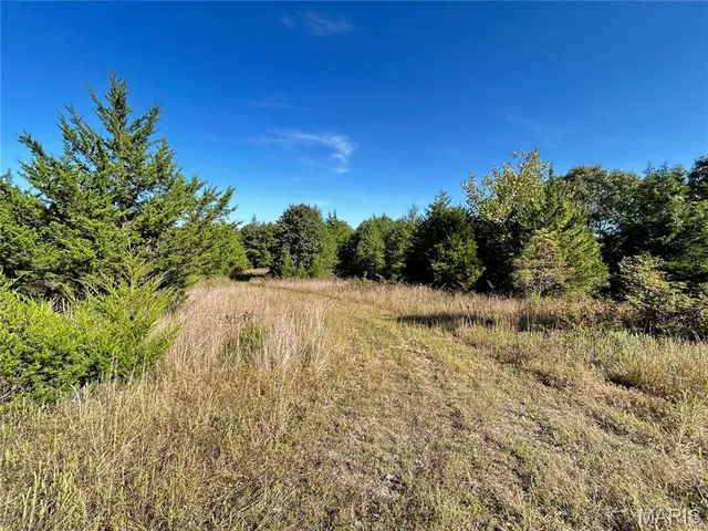 $300,000 | 4800 County Road 4210, Salem, MO 65560