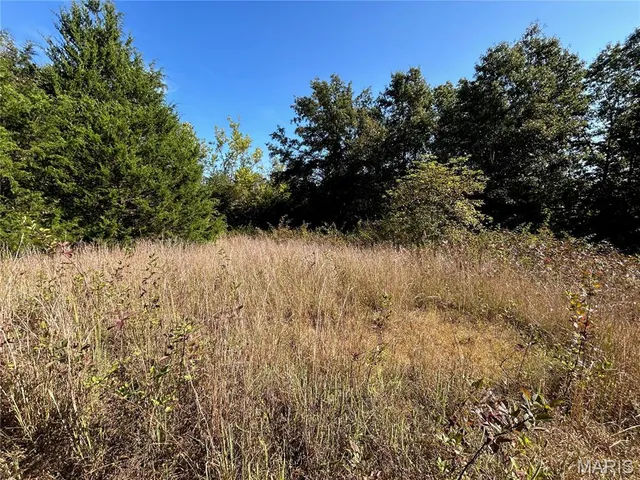$300,000 | 4800 County Road 4210, Salem, MO 65560