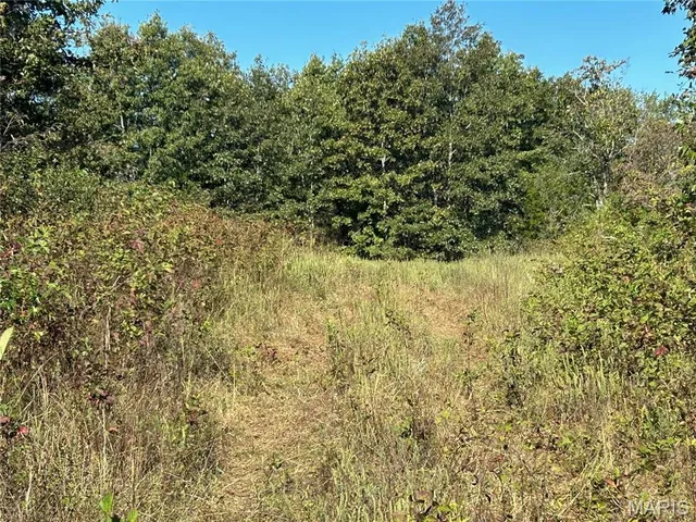 $300,000 | 4800 County Road 4210, Salem, MO 65560